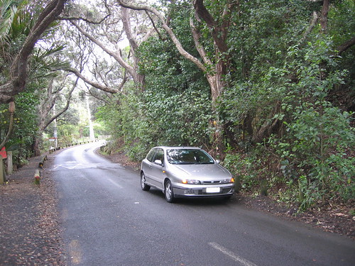 Fiat Bravo HGT at Piha