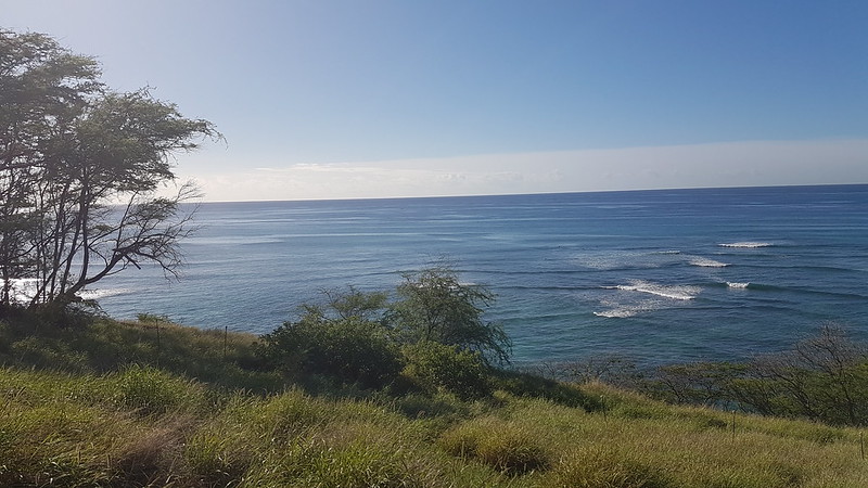 Surfers at work
