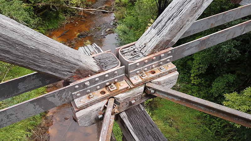 Twin Coast Trail