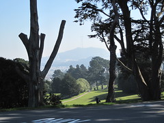 Lincoln Park