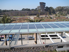 The Living Roof