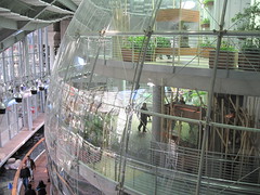 Rain Forest Dome