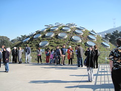 The Living Roof