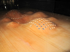 Autodesk Gallery - California Academy of Science