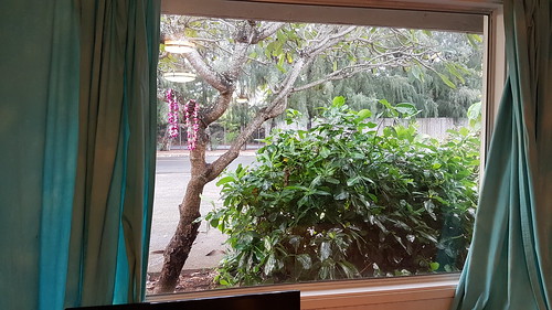 Laie Air BnB view