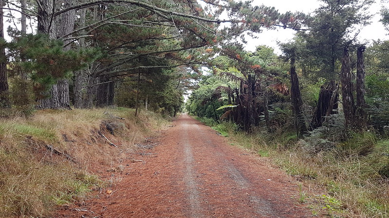 Twin Coast Trail