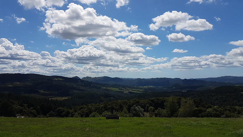 Puketi (Forest) Rd