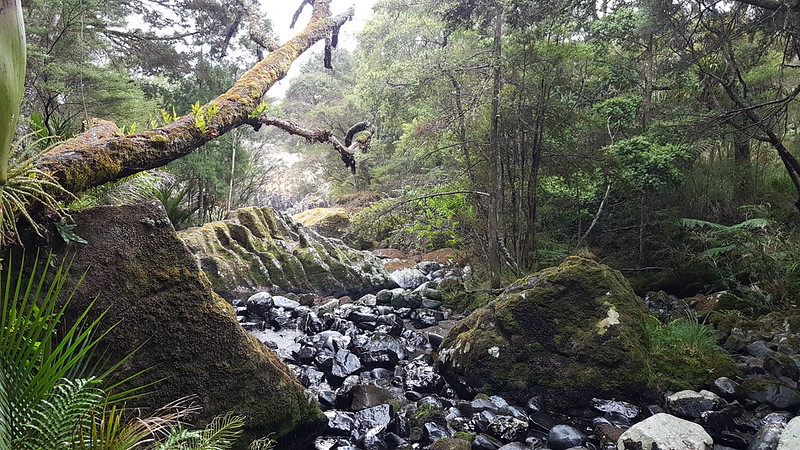Wairere Boulders