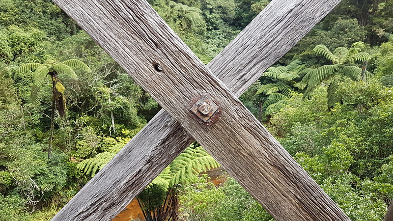 Twin Coast Trail