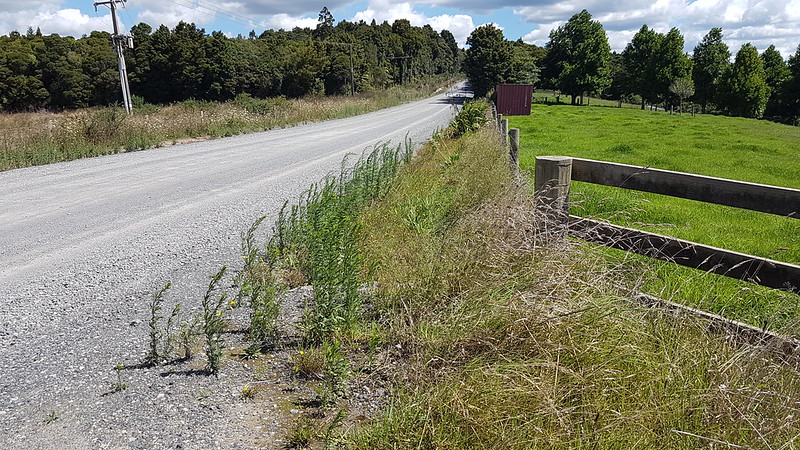 Puketi (Forest) Rd