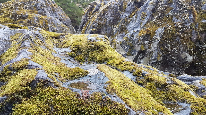 Wairere Boulders