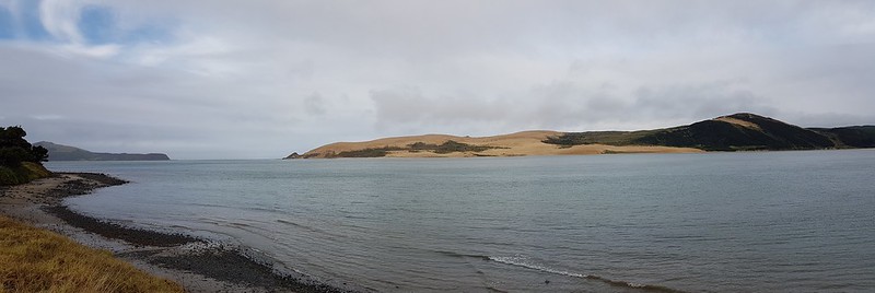 Opononi Views
