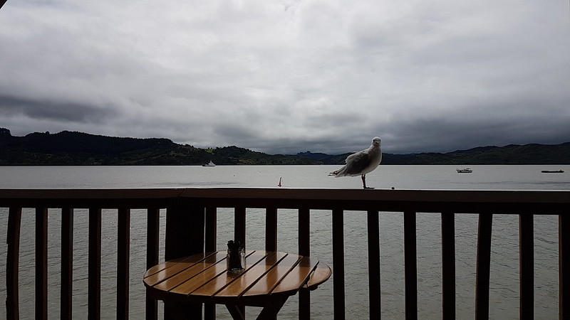 Boat Shed Café