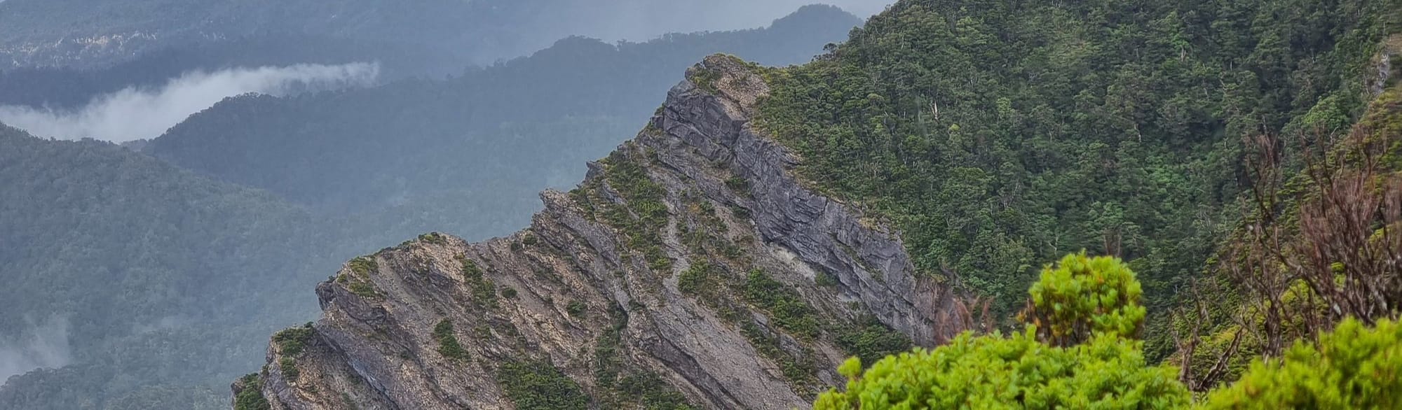 Bush, shear rock faces, ghostly cloud lingering over bush clad mountains