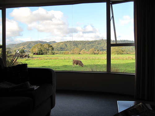 Motel View!