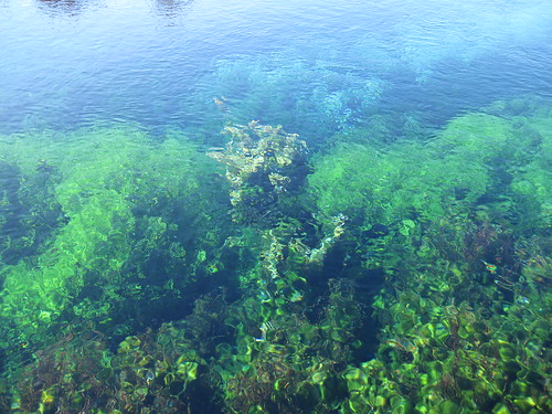 Pupu Springs