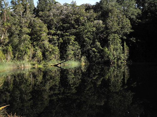 Mirror Lake