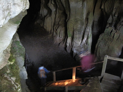 Into the Cave