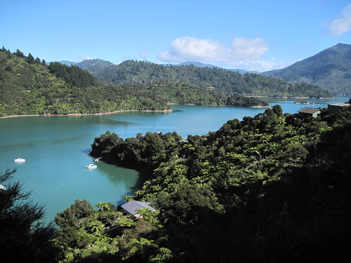 Kenepuru Sound