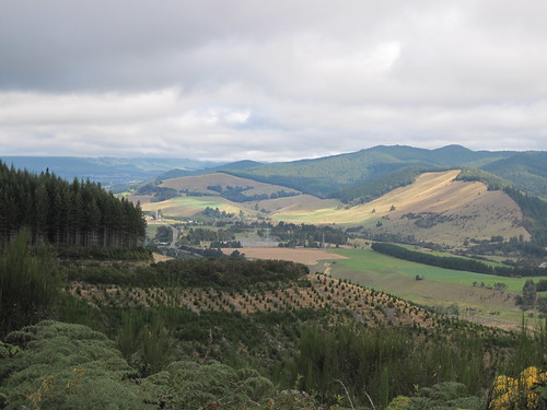 Towards Tophouse
