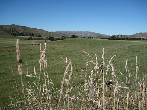 Kaikoura Inalnd Rd