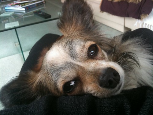 Did somebody say "walk"?