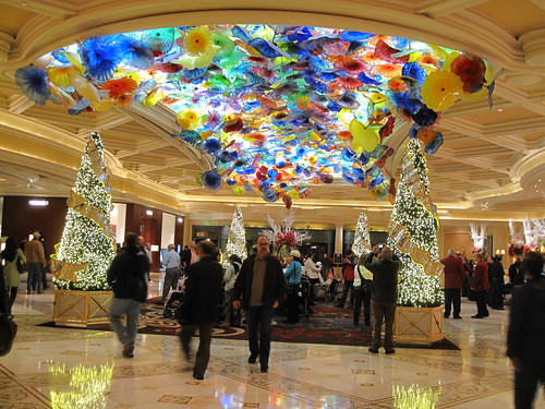 AU2011 Shutterbug Friday