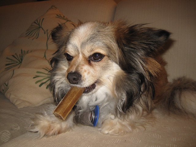 Alfie doing Winston Churchill impression