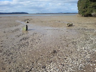 Auckland from Luckens Beach