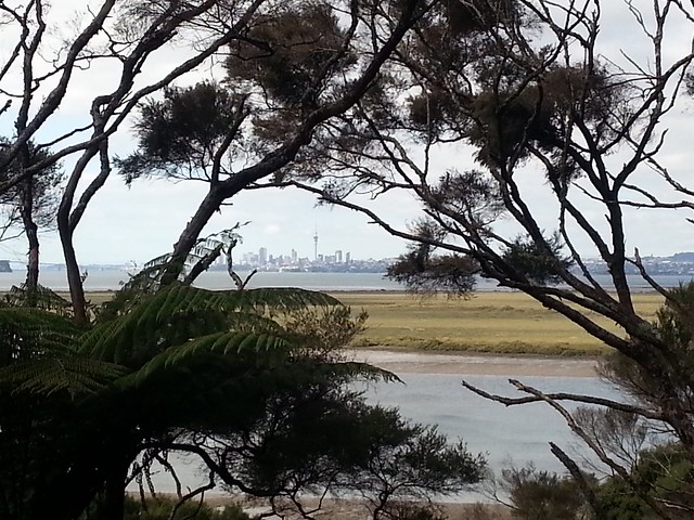 View from West Harbour
