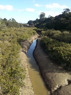 Towards Moire Rd