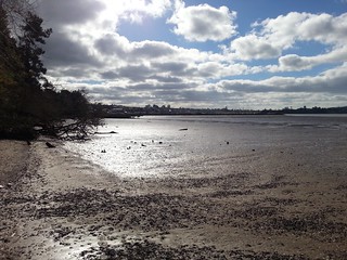 Luckens Beach towards Westpark Marina