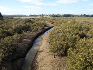 Towards Te Atatu