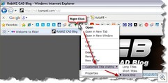 IE8_Icons only