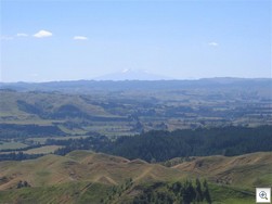 Mt Ruapehu from Stormy Point Lookout