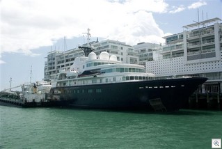 LE GRAND BLEU BOW  Tolema 1 (Medium)