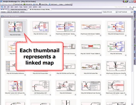 MindManager_Multimap_Workspace