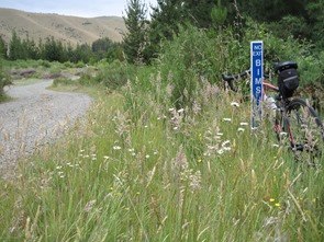 BIMS Rd BIMS Rd