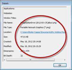 SnagitEditorError2012-05-17details SnagitEditorError2012-05-17details
