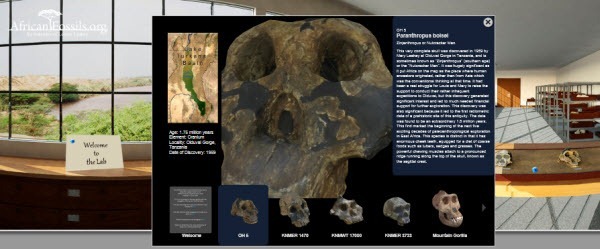 African_Fossils_Dot_Org