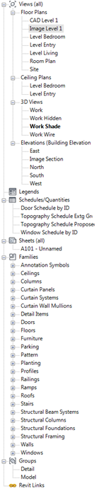Snagit_10_Ravit_Browser Snagit_10_Ravit_Browser