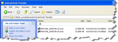 Live_Mesh_ActiveWords