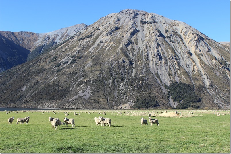 Southern Alps Great Alpine Way 27 Southern Alps Great Alpine Way 27