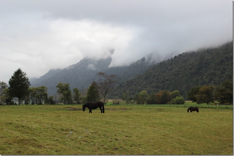 Towards Lake Brunner Towards Lake Brunner