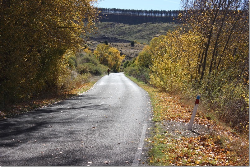 Lake Aviemore Ride Lake Aviemore Ride