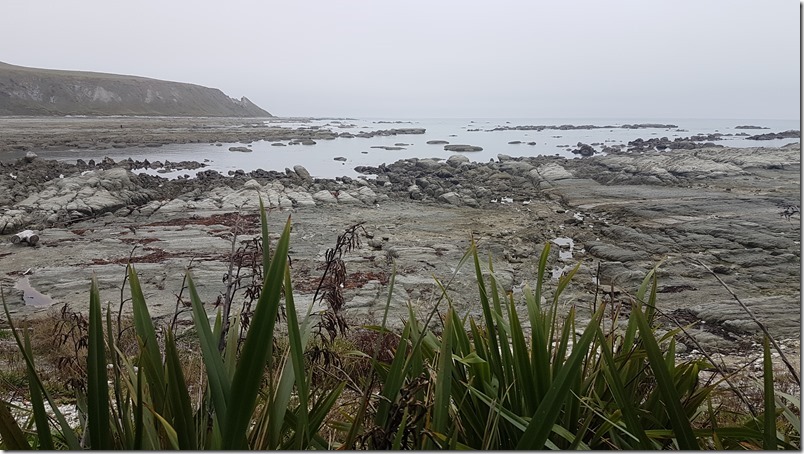 South Bay Kaikōura South Bay Kaikōura
