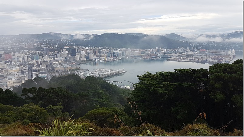Wellington from Mt Victoria Wellington from Mt Victoria