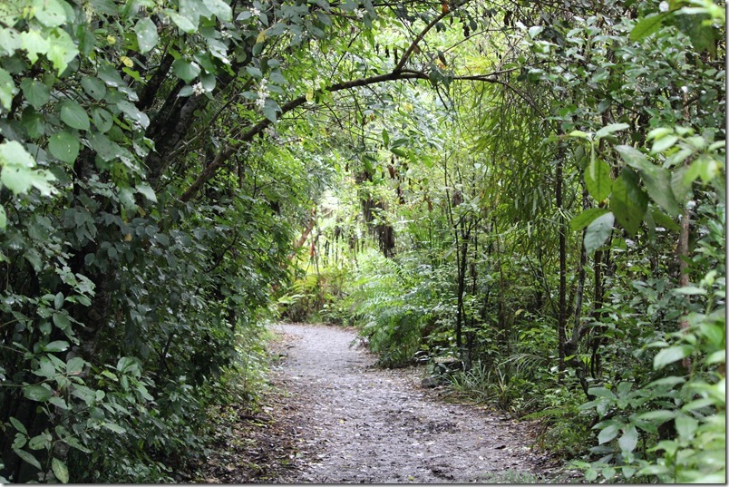 Zealandia Zealandia