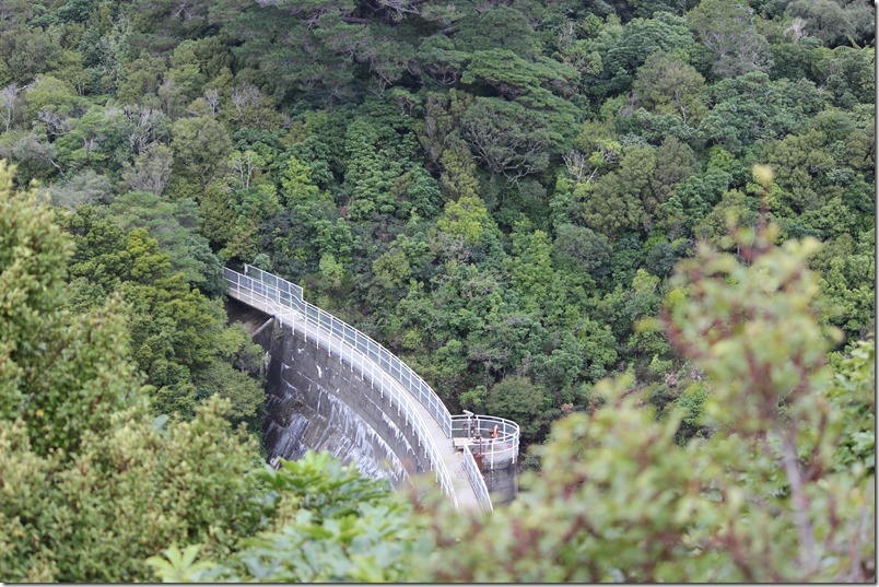 Zealandia Zealandia