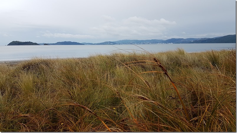 Petone waterfront views Petone waterfront views